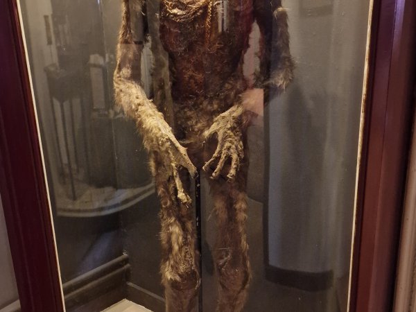 Museum Obscurum