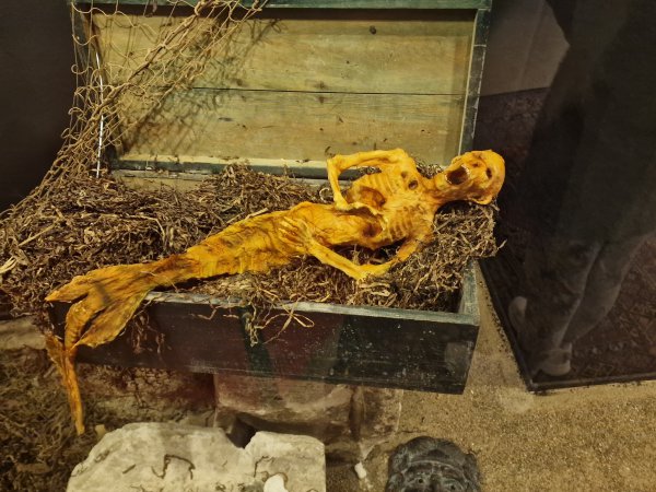 Museum Obscurum