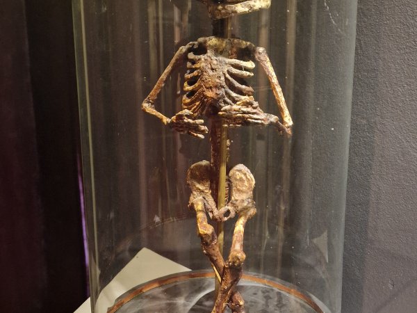 Museum Obscurum