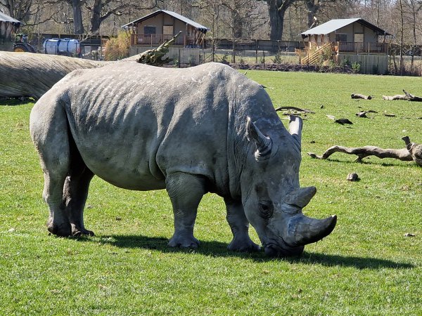 Safaripark Knuthenborg