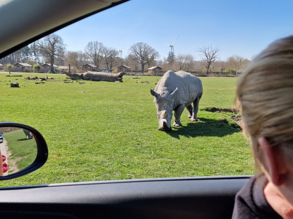 Safaripark Knuthenborg