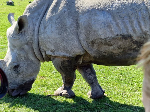 Safaripark Knuthenborg