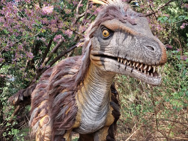 Safaripark Knuthenborg