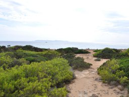 Mallorca
