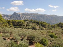 Mallorca